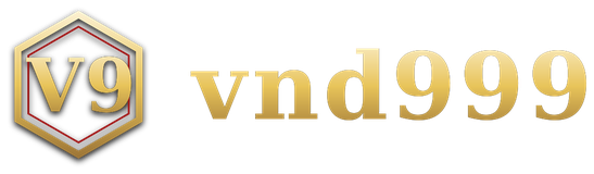 vnd999 logo